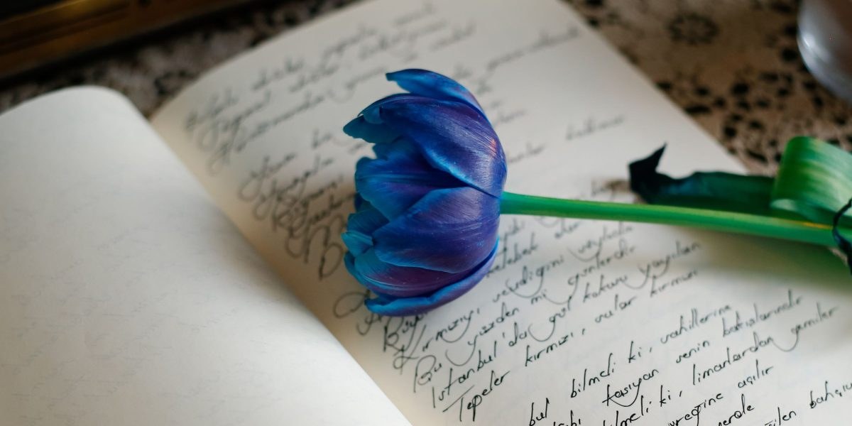Open journal with calming notes
