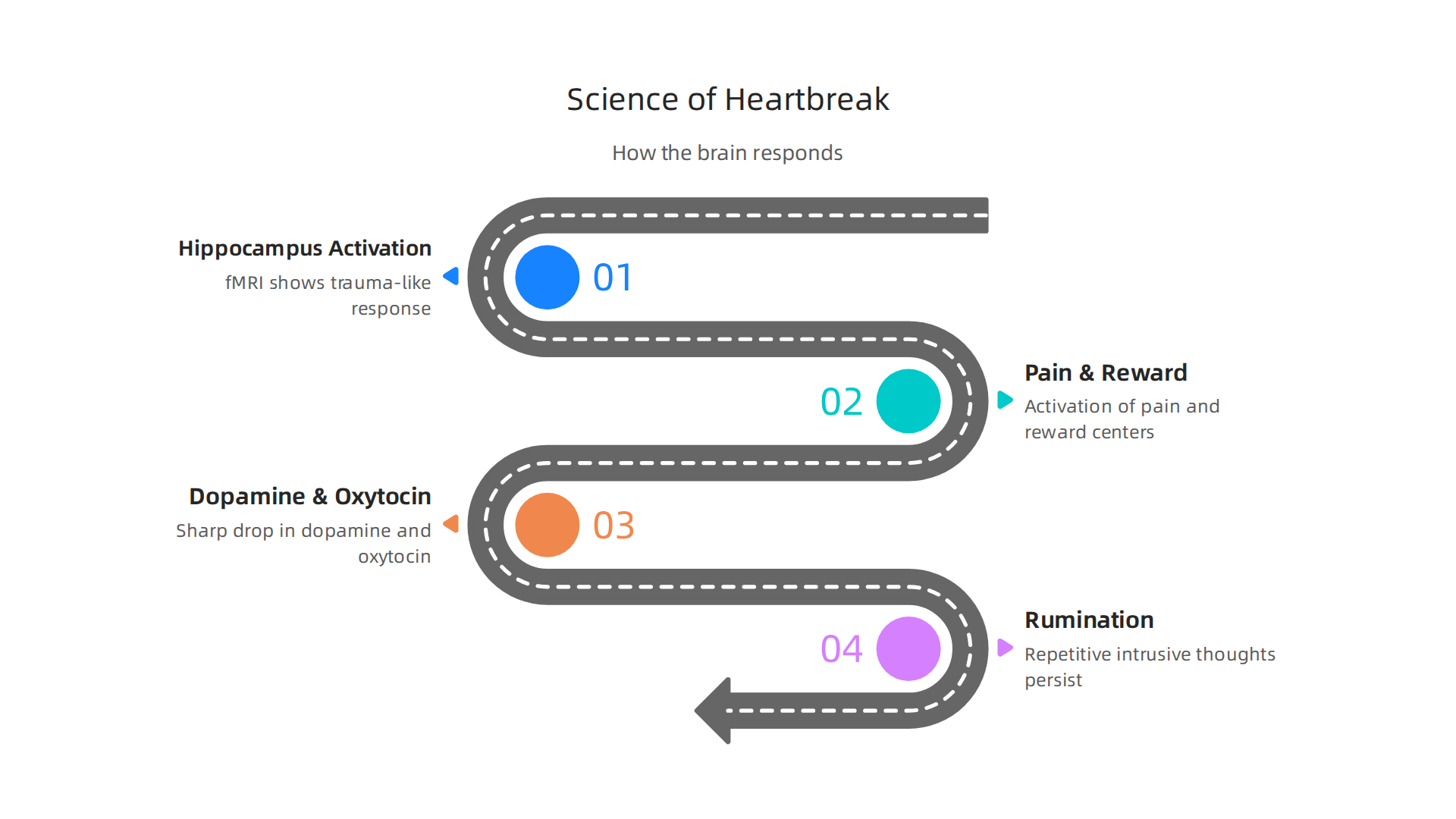 An infographic detailing the brain's reaction to heartbreak, including fMRI activity in pain/reward centers and the crash of dopamine and oxytocin, leading to rumination.