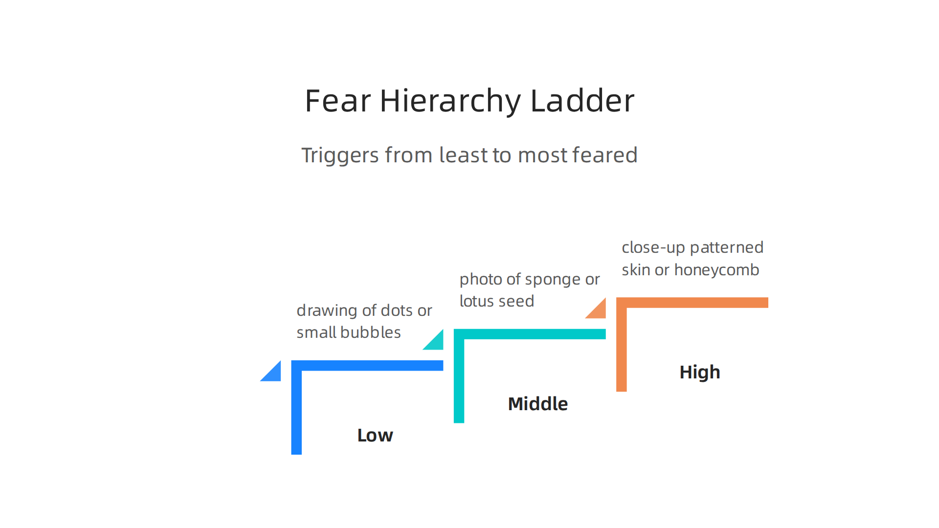 An infographic presenting a fear hierarchy as a ladder, with examples of trypophobia triggers ranked from least to most anxiety-provoking.