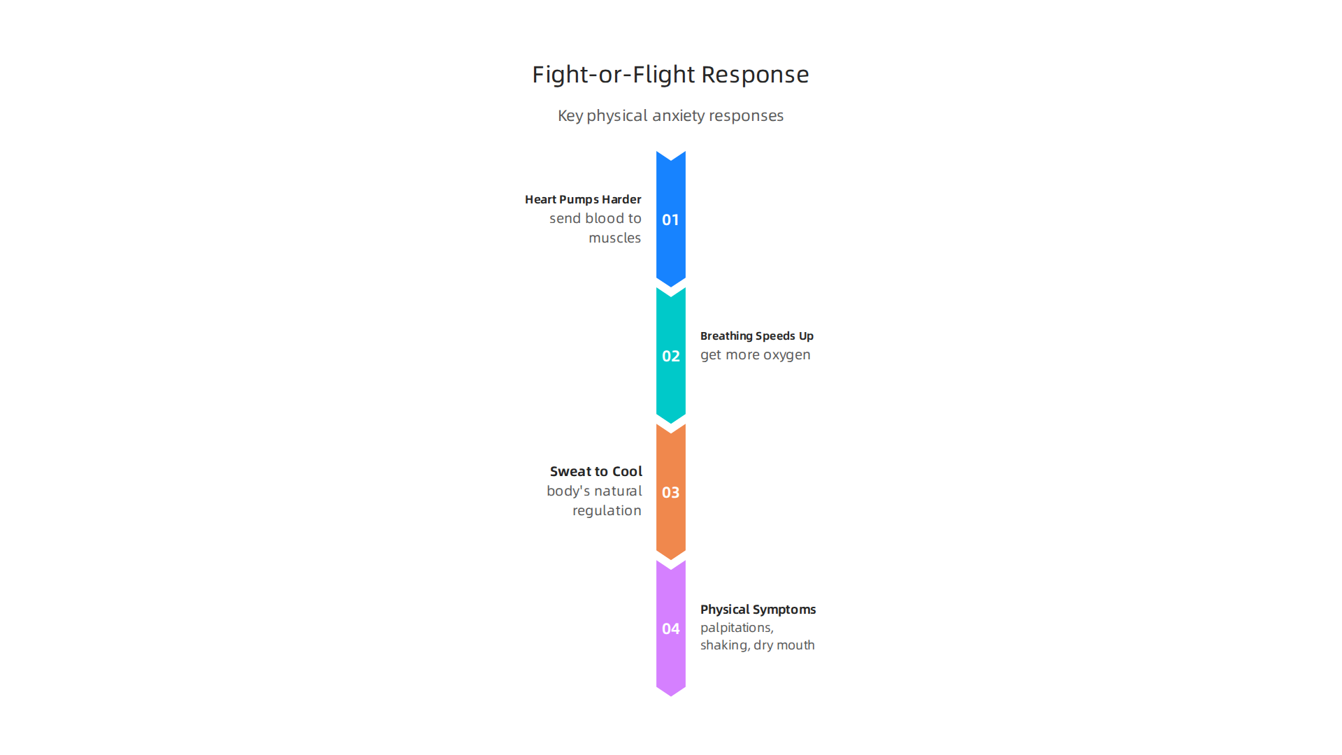 Understand the key physical changes your body undergoes during the fight-or-flight response.