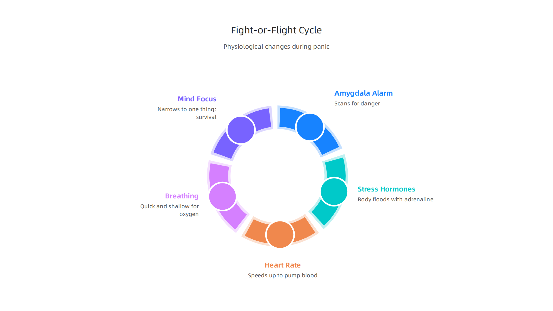 Visualizing the physiological changes triggered by the body's fight-or-flight response during a panic attack.