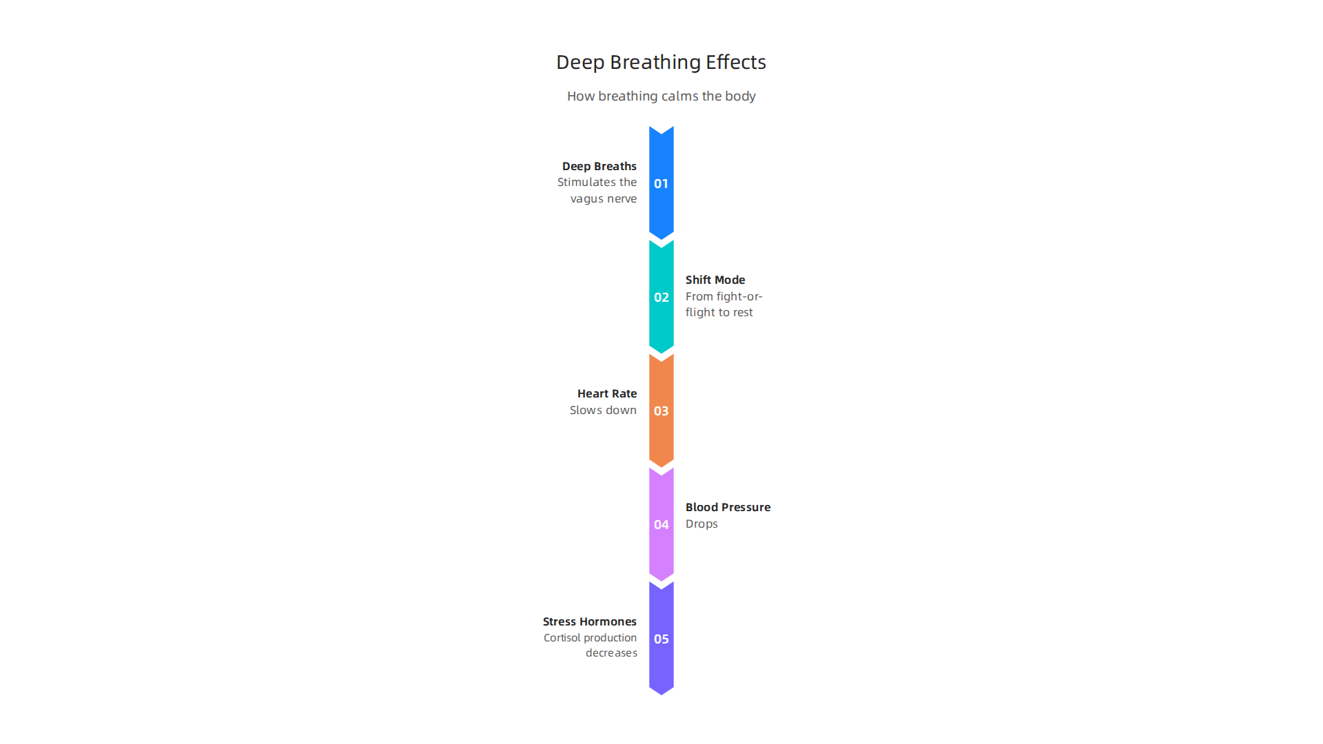 Understanding the calming effects on the body when the vagus nerve is stimulated through deep breathing.