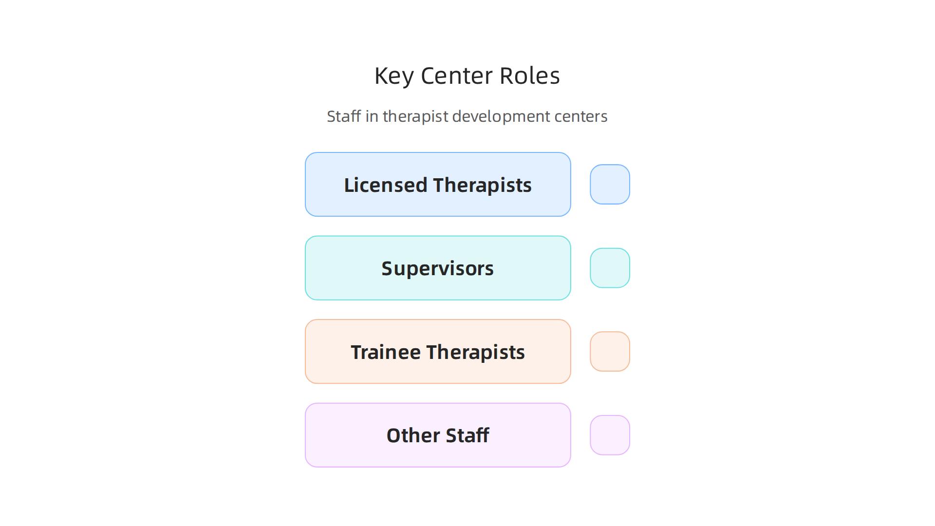 Overview of the various professional roles found within a therapist development center.